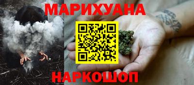 крисы Будённовск