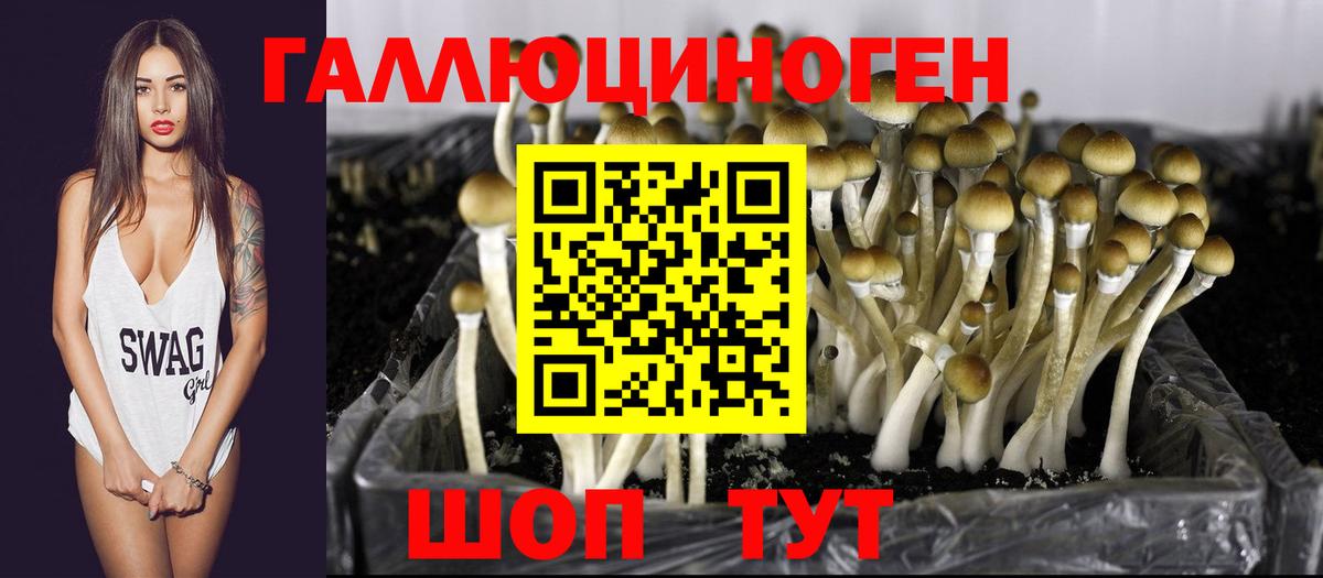 Псилоцибиновые грибы прущие грибы Новороссийск