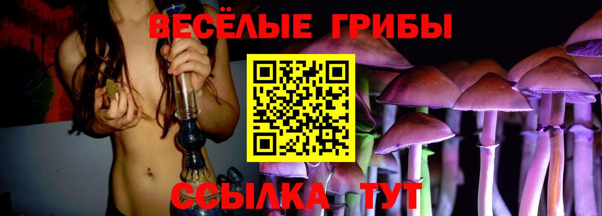 Псилоцибиновые грибы Magic Shrooms  Галлюциногенные грибы Psilocybine cubensis  как найти закладки  Новороссийск  Вход с VPN 